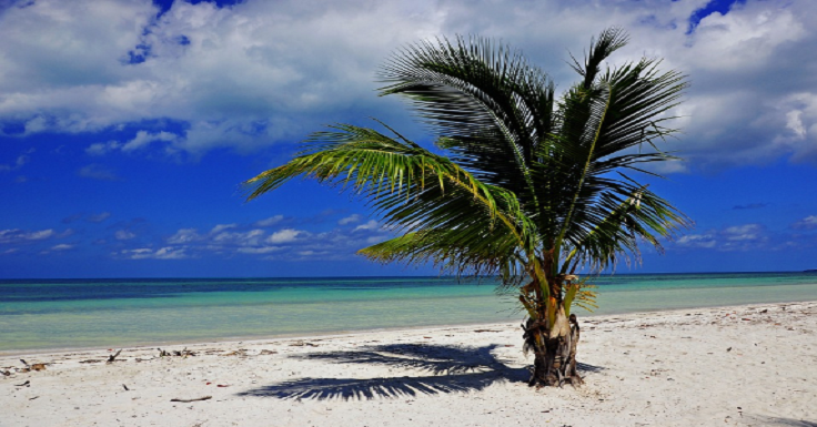 Plam Beach