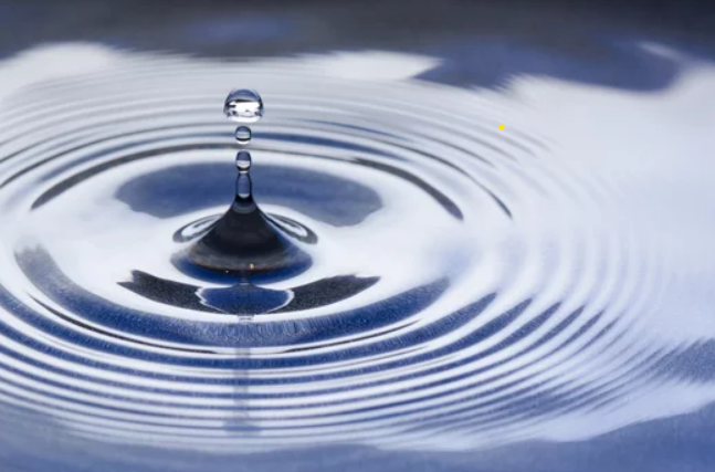 The Ripple Effect: How Scholarships Benefit Communities and Economies